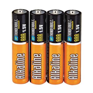 AAA Alkaline Batteries (4)