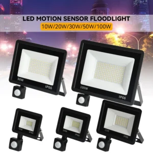 PIR Motion Sensor LED